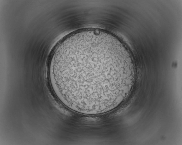 X0000090411125200708031036