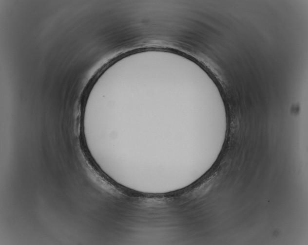 X0000090411126200708031036
