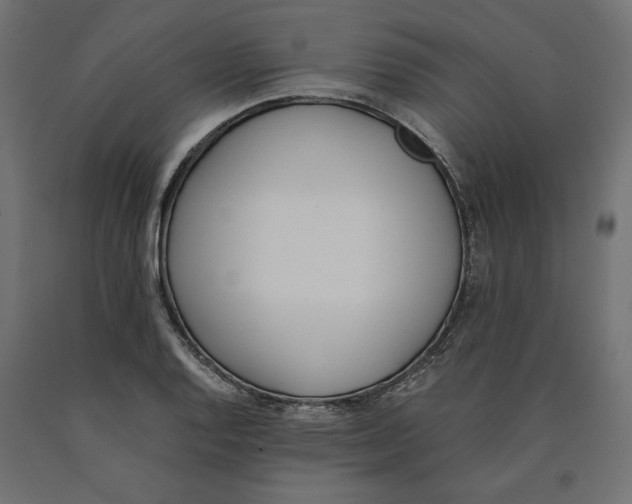 X0000090411128200708031036