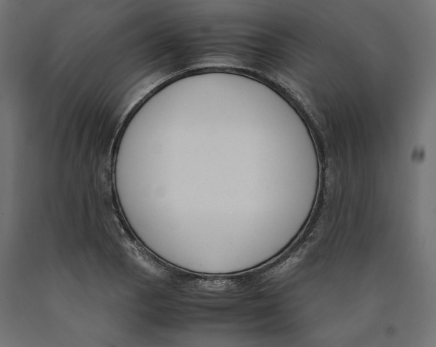X0000090411129200708031036