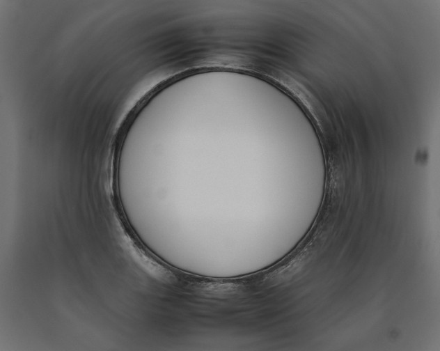 X0000090411131200708031036