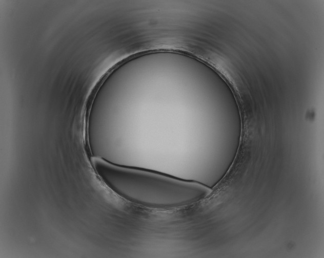 X0000090411132200708031036