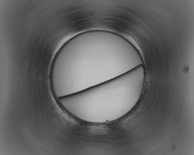 X0000090411133200708031036