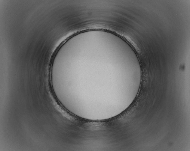 X0000090411134200708031036