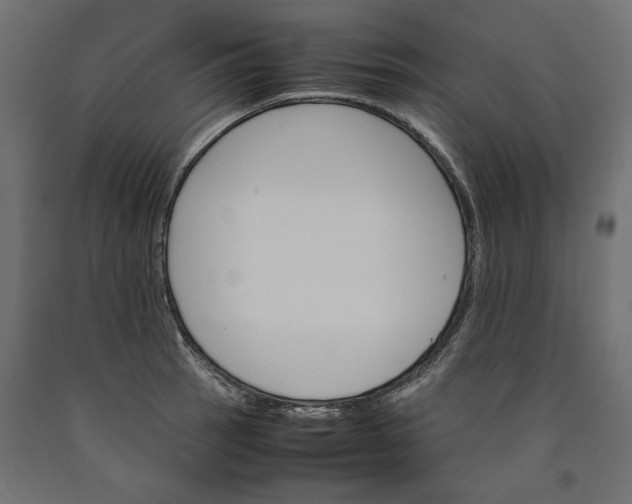 X0000090411137200708031036