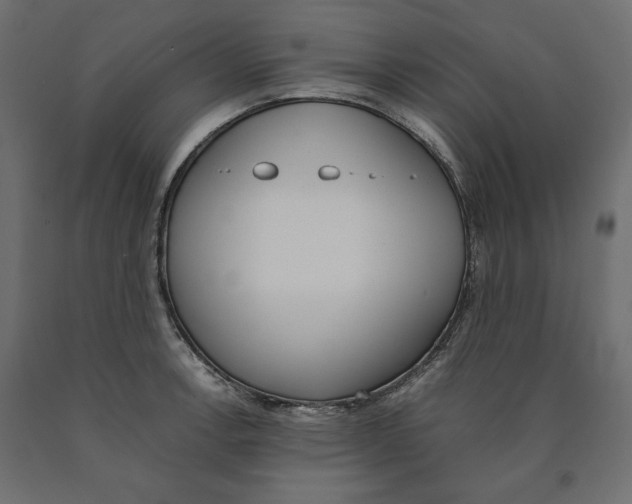 X0000090411138200708031036