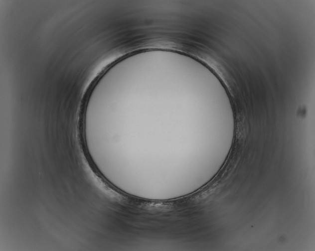 X0000090411139200708031036