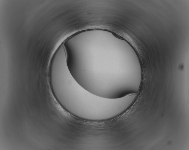 X0000090411140200708031036