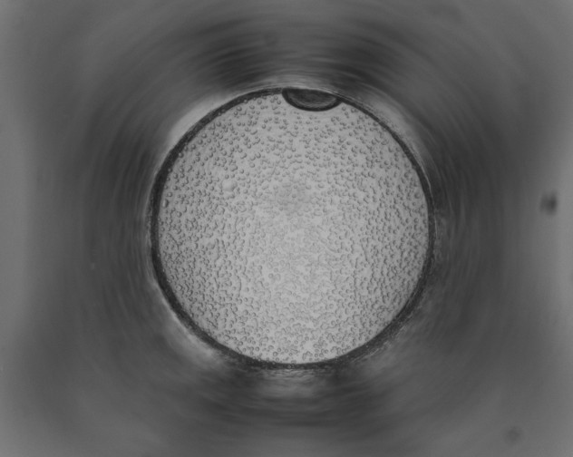 X0000090411141200708031036
