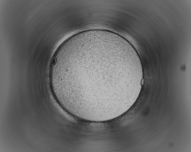 X0000090411142200708031036