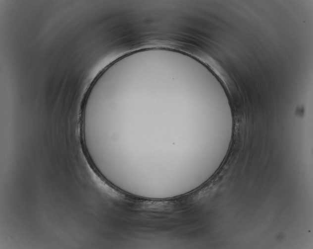 X0000090411143200708031036