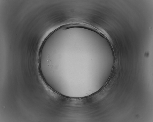 X0000090411144200708031036