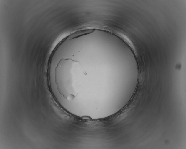 X0000090411146200708031036
