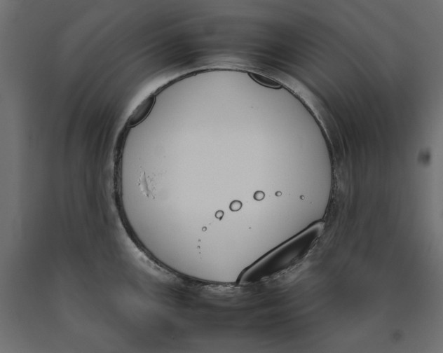 X0000090411147200708031036