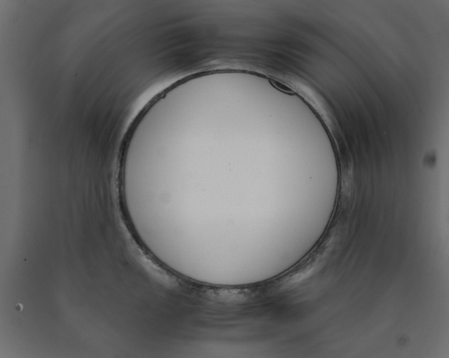 X0000090411149200708031036