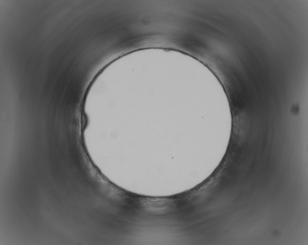 X0000090411150200708031036