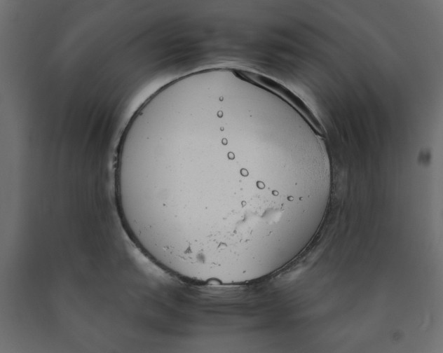 X0000090411151200708031036