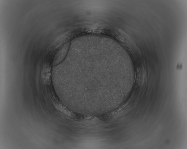 X0000090411154200708031036