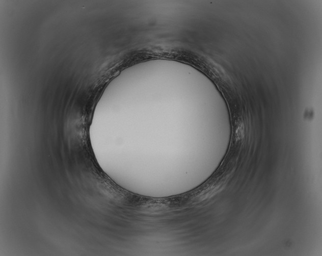 X0000090411156200708031036