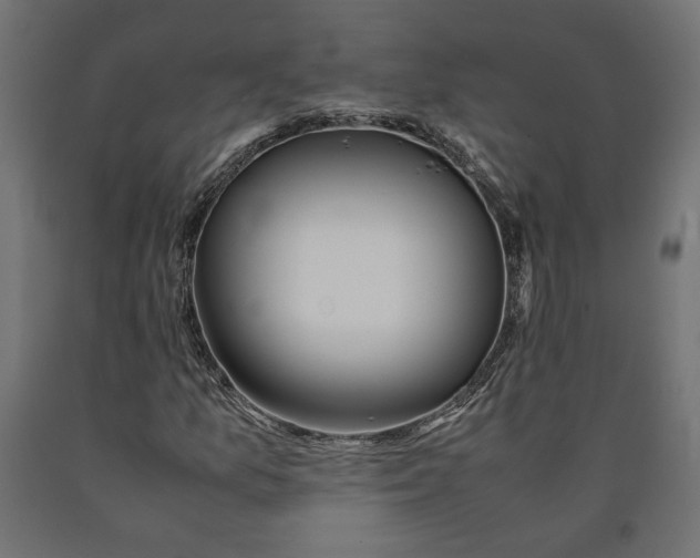 X0000090411157200708031036