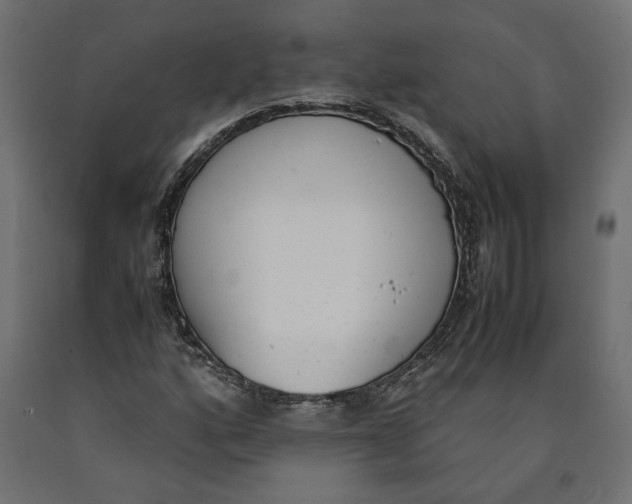 X0000090411160200708031036