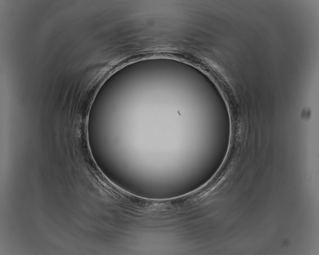 X0000090411161200708031036