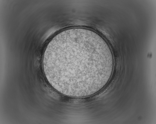 X0000090411163200708031036