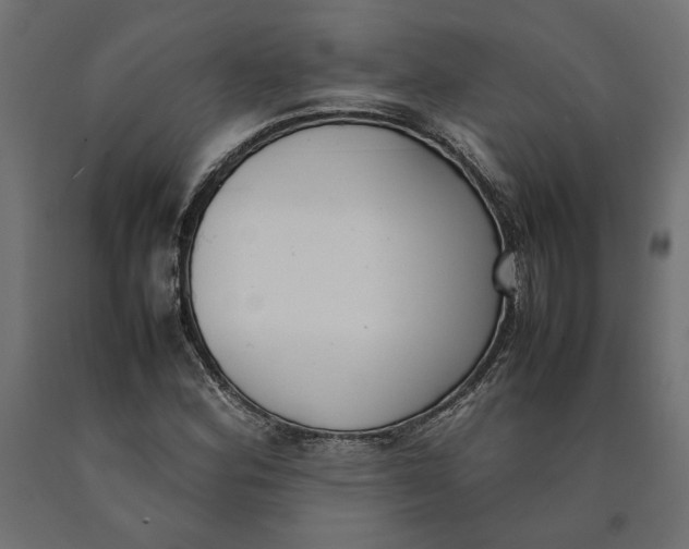 X0000090411164200708031036