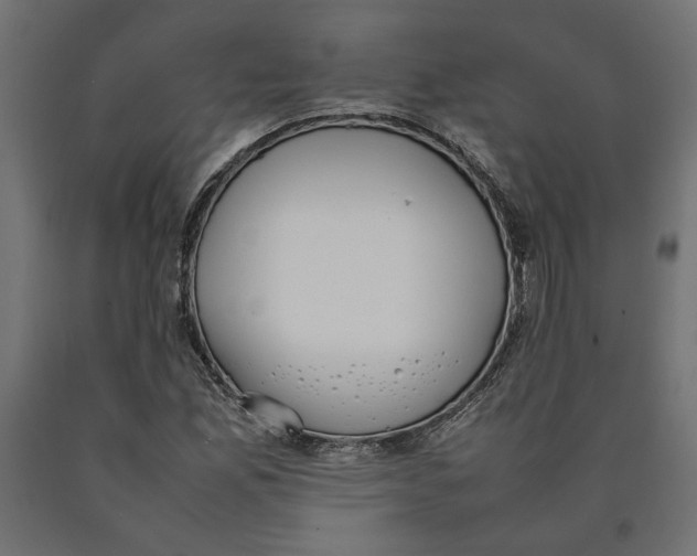 X0000090411165200708031036