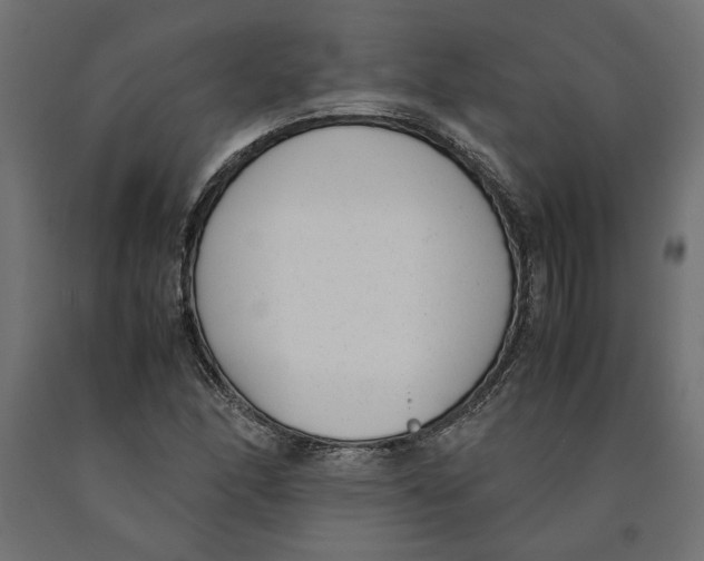 X0000090411166200708031036