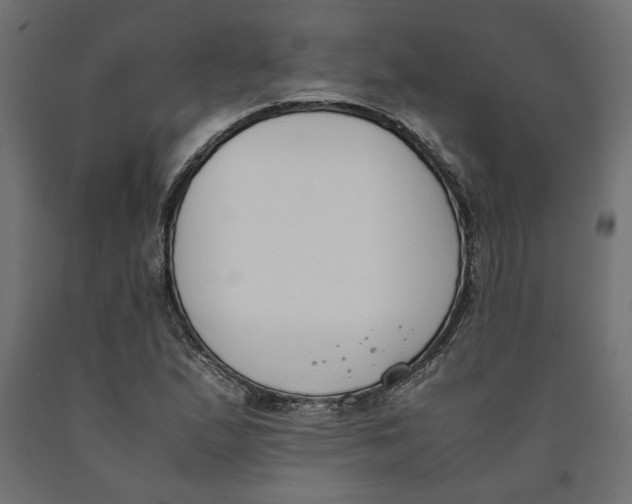 X0000090411167200708031036