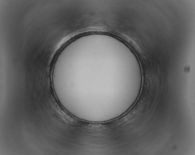 X0000090411168200708031036