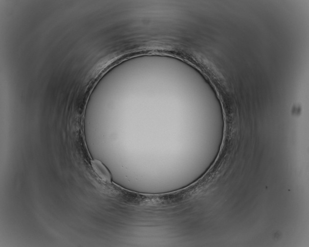 X0000090411169200708031036