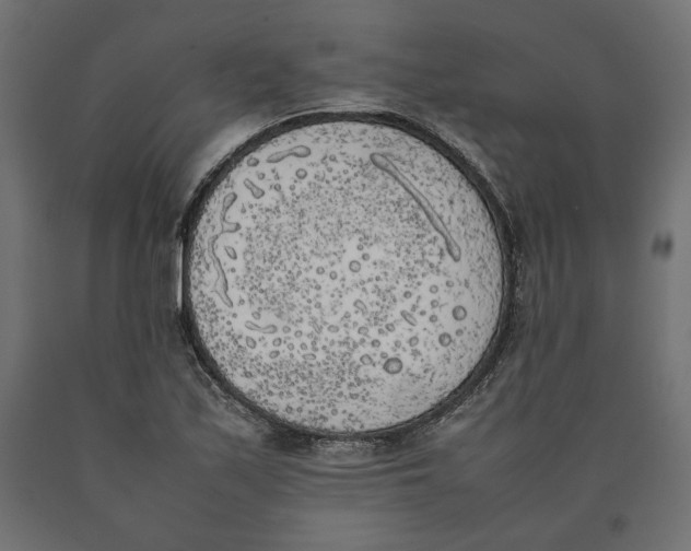 X0000090411171200708031036