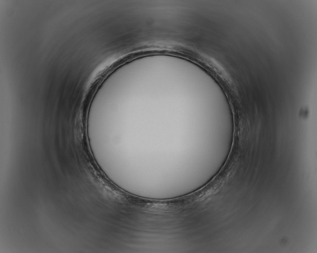 X0000090411172200708031036