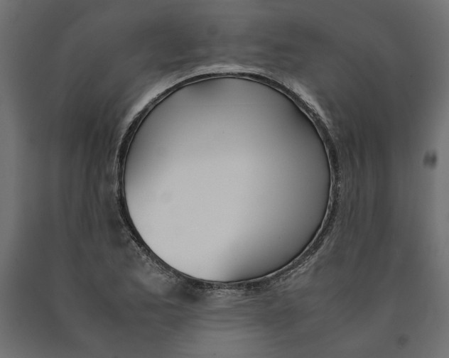 X0000090411173200708031036