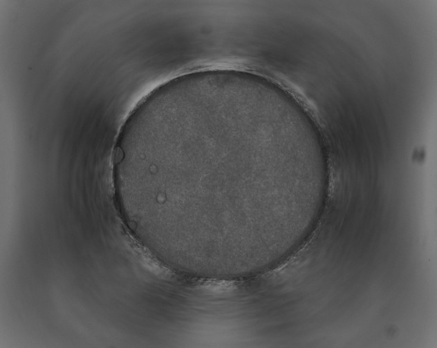 X0000090411174200708031036