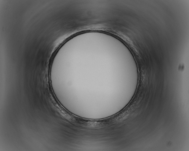X0000090411176200708031035