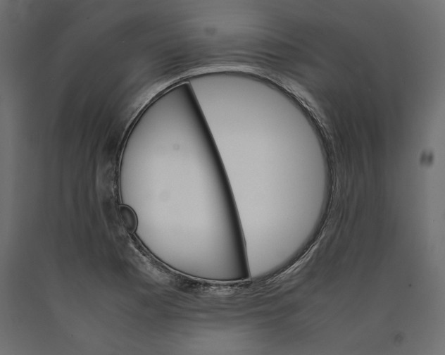 X0000090411177200708031035