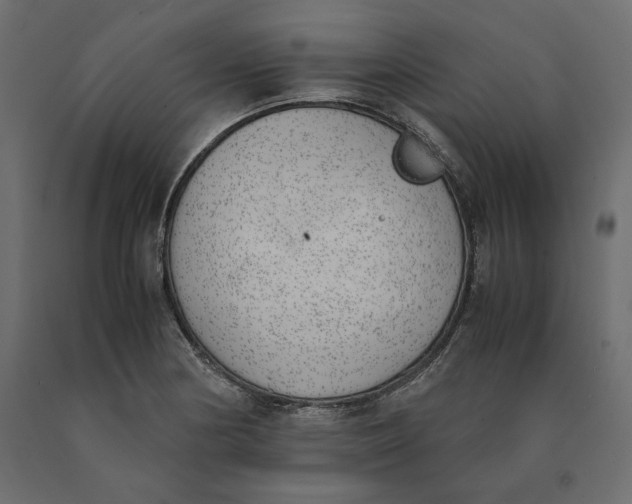 X0000090411178200708031035