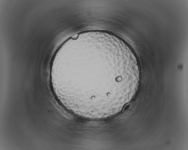 X0000090411179200708031035