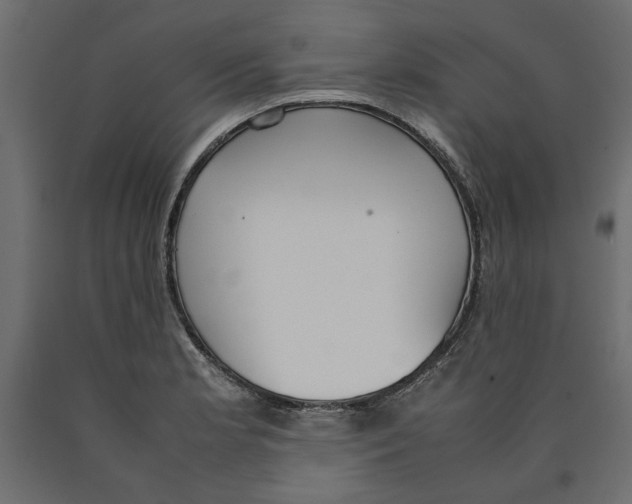 X0000090411181200708031035