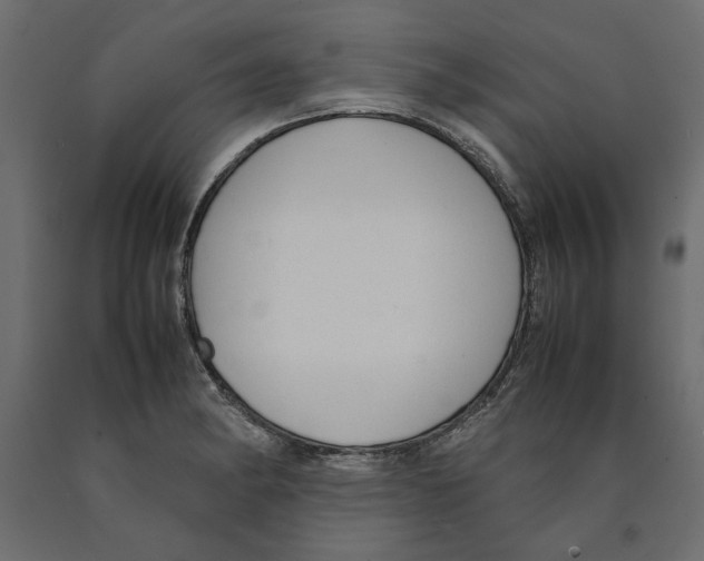 X0000090411182200708031035