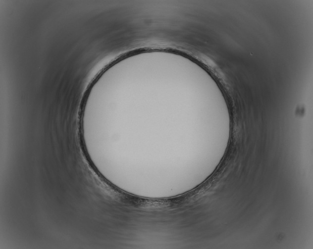 X0000090411183200708031035