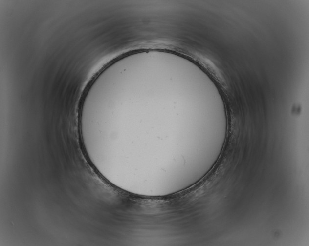 X0000090411184200708031035