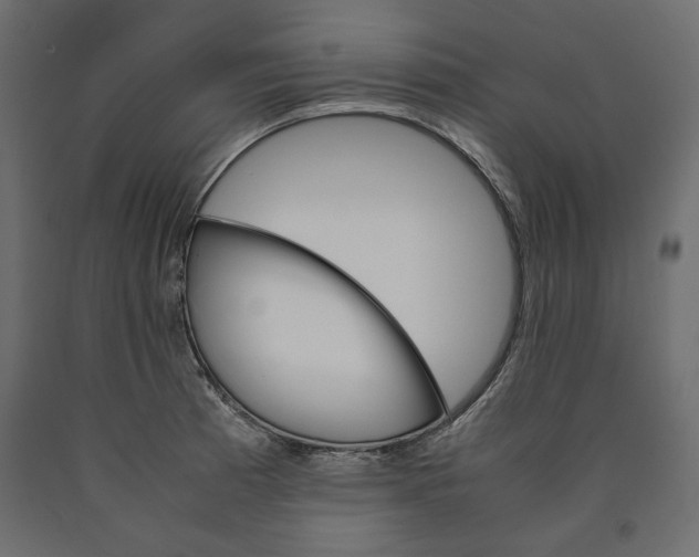 X0000090411185200708031035
