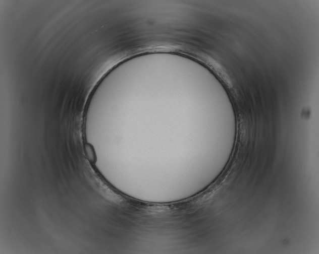 X0000090411186200708031035