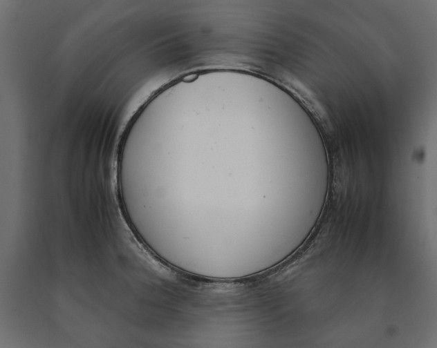 X0000090411188200708031035
