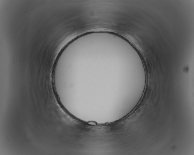 X0000090411189200708031035