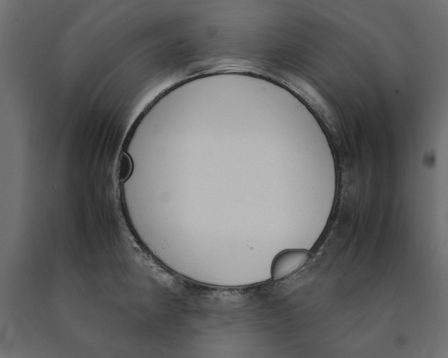 X0000090411190200708031035
